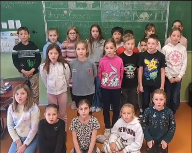 Az Állatok Világnapja - 2025