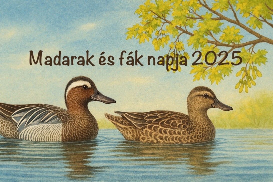 Madarak és fák napja - 2025